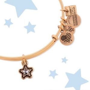 Alex and Ani True Wish Bangle Bracelet